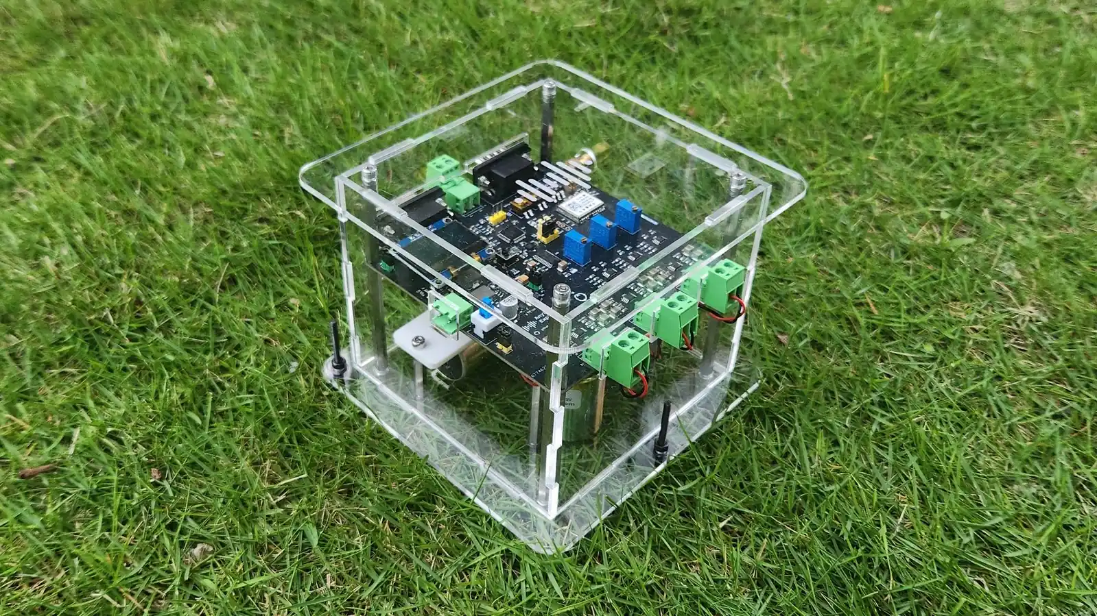 AnyShake Explorer on Grass