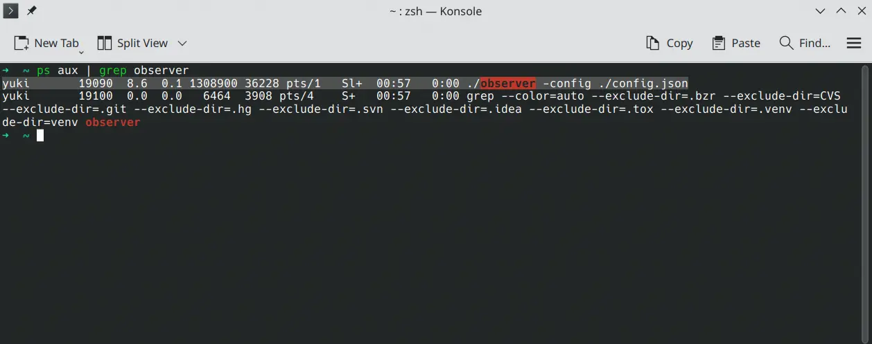 Backend Running on Linux